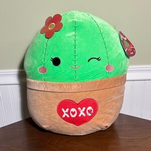 Squishmallow Shadi the Cactus Valentine’s Collection NWT